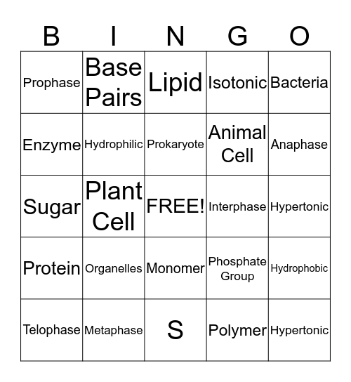 Semester Review Bingo Card