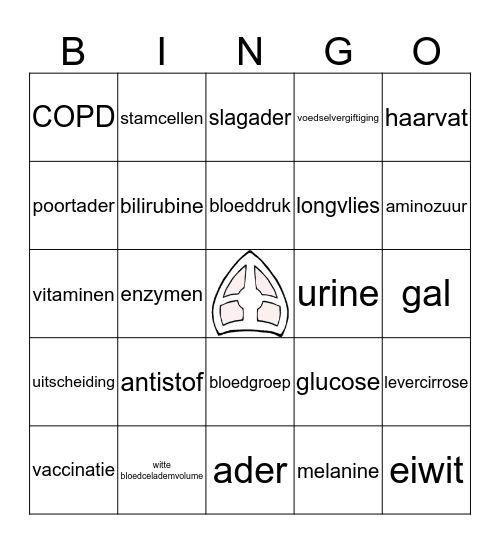 pepernoten-bio-bingo Card