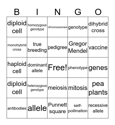 Vocabulary Module 8A Bingo Card