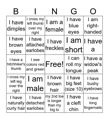 Who Am I Bingo Card