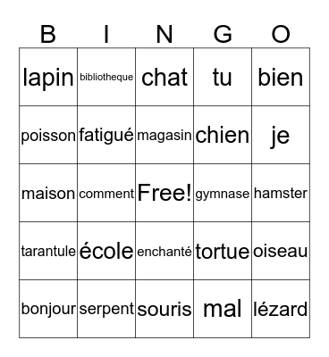 French Review and Places Bingo Card