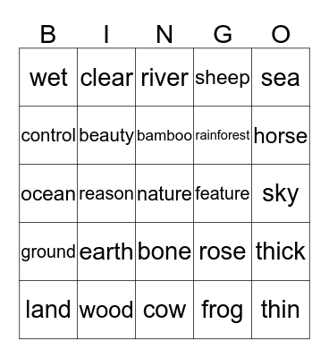 262, Bingo! Bingo Card