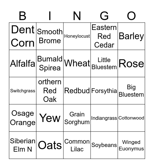 MS Ag Academy Bingo Card