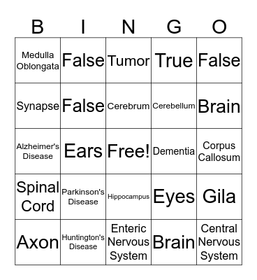 Neuroscience Bingo! Bingo Card