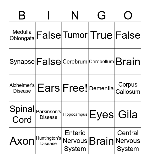 Neuroscience Bingo! Bingo Card