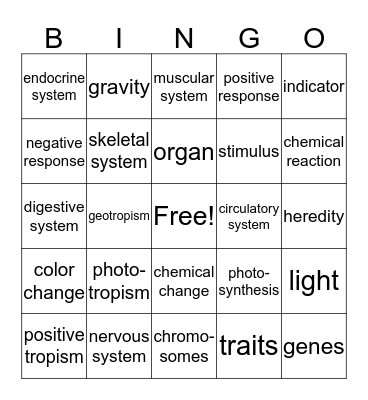 7th grade semester exam review  Bingo Card