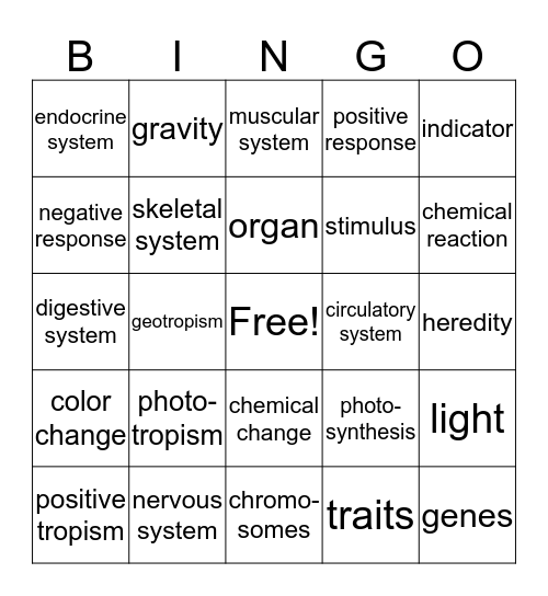 7th grade semester exam review  Bingo Card