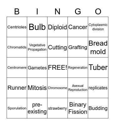 Asexual Reproduction  Bingo Card