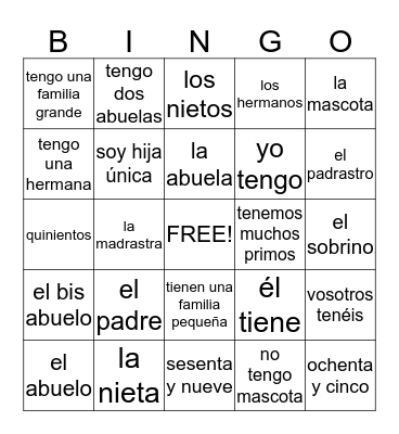 La familia , el verbo tener y números Bingo Card