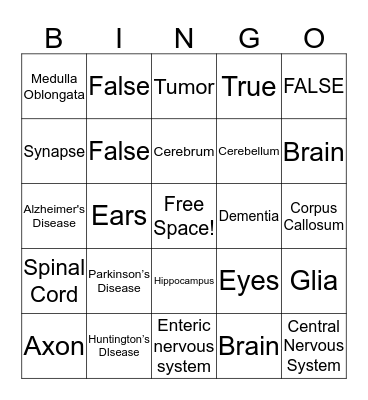 Neuroscience Bingo! Bingo Card