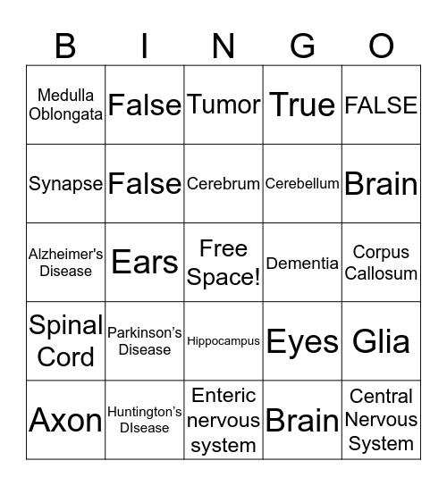 Neuroscience Bingo! Bingo Card