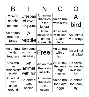 Presentation Bingo Card