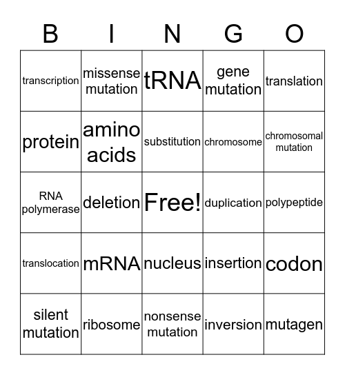 Protein Synthesis and Mutations Bingo Card
