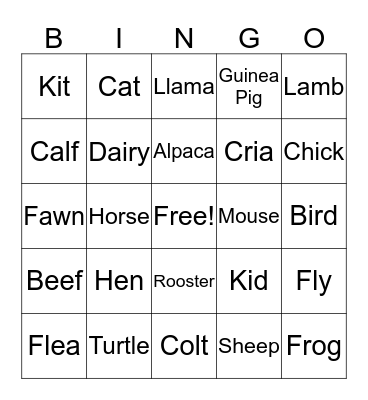 Animals Bingo Card