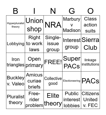 Chapter 11 - Interest Groups Bingo Card