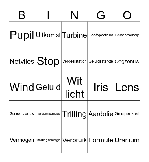 Begrippenbingo journalist Bingo Card