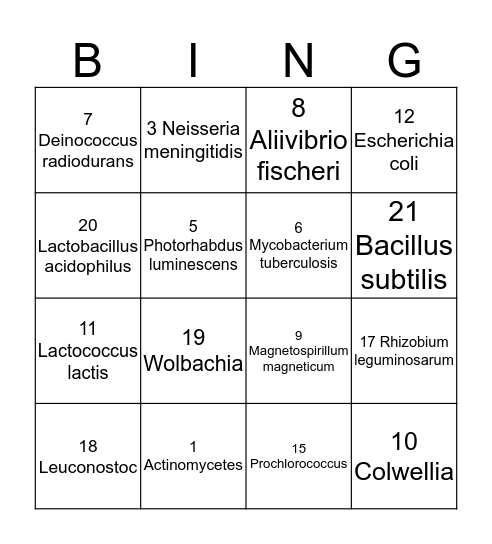 Bacterial Bingo Card