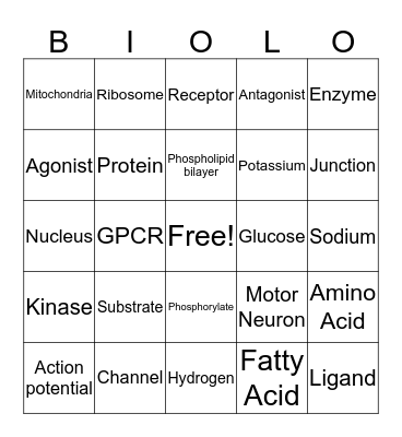 Finals Drinking Game Bingo Card