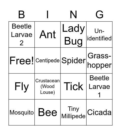 BUG BINGO! Bingo Card