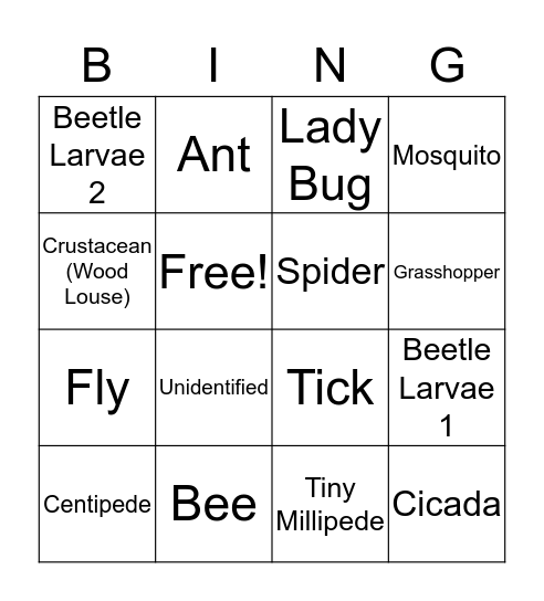 BUG BINGO! Bingo Card