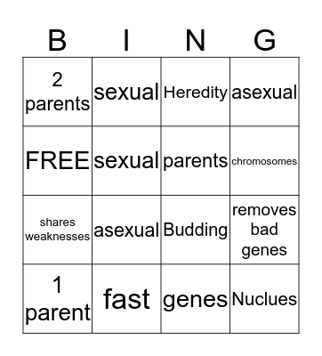 Asexual and sexual reproduction BINGO Card