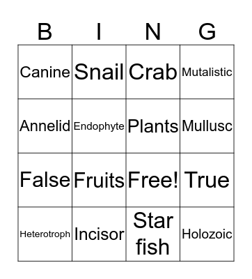 Heterotrophic nutrition bingo!! Bingo Card