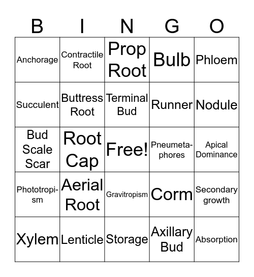 Unit 2/3 Bingo Card