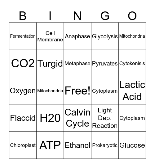 Botany Final Review Bingo Card