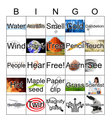 I am a Scientist  Bingo Card