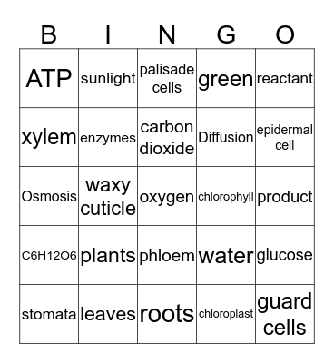 Photosynthesis Bingo Card