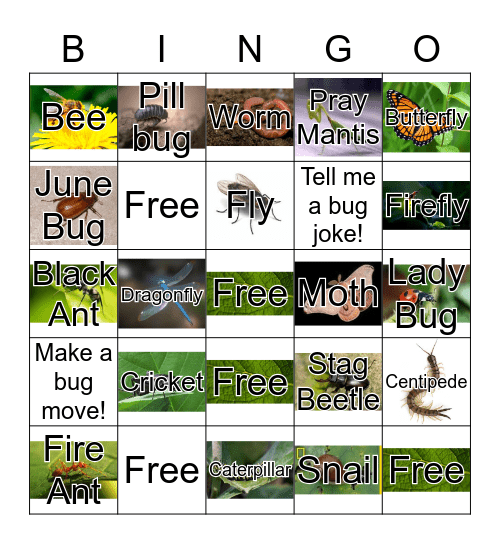 Bug Bingo  Bingo Card