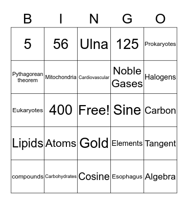 Science & Math Bingo Card