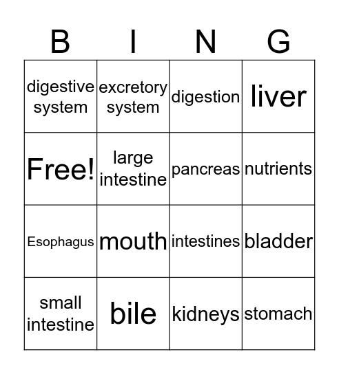 Digestive and Excretory System Bingo Card
