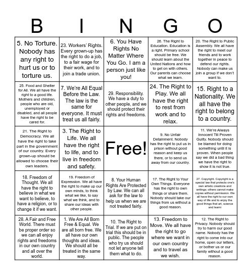Human Rights Violation Bingo Card