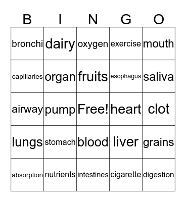 Digestive System Bingo Card