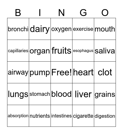 Digestive System Bingo Card