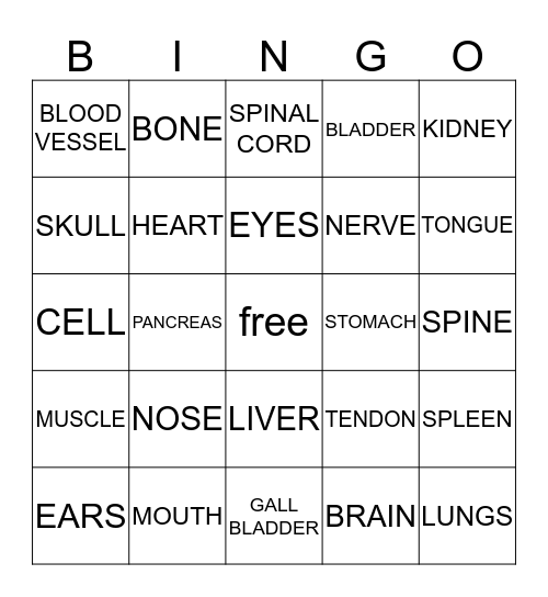 THE HUMAN BODY Bingo Card