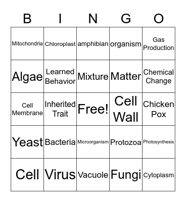 Science Review Bingo Card