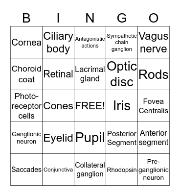 PNS and Vision Bingo Card