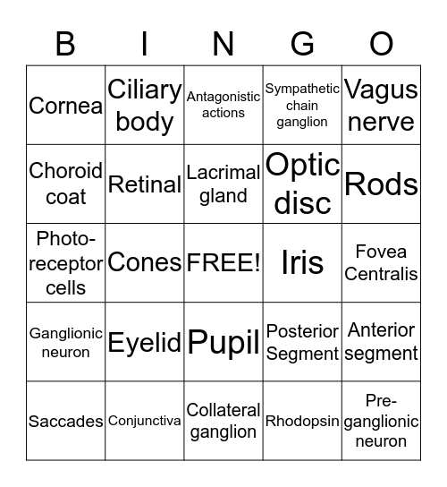 PNS and Vision Bingo Card