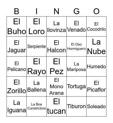 Animal/Weather Vocab Bingo Card