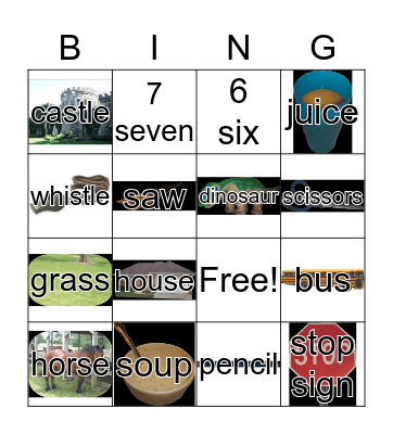 /s/ bingo Card