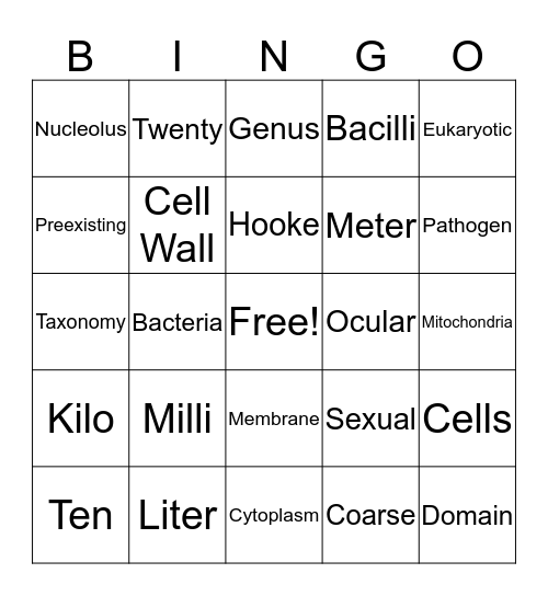 Semester 1 Final Review Bingo Card