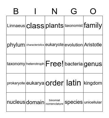 What is Life Bingo Card