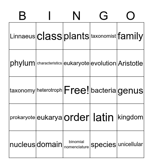 What is Life Bingo Card