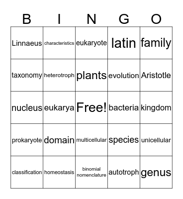 What is Life Bingo Card