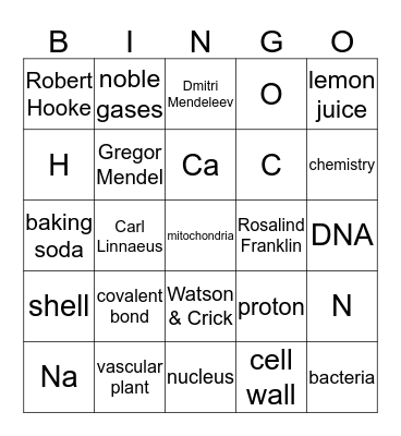 6th Grade Semester 1 Review Bingo Card