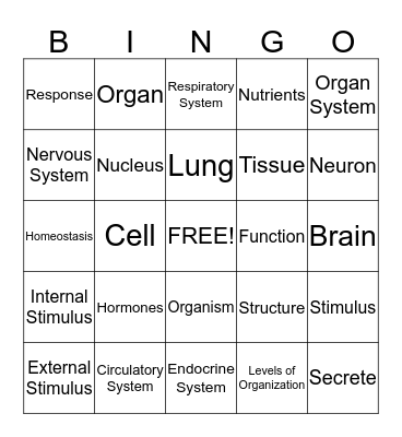 Intro to Human Body Systems  Bingo Card