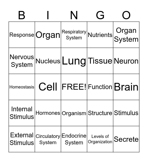 Intro to Human Body Systems  Bingo Card