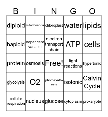Biology Semester Review Bingo Card